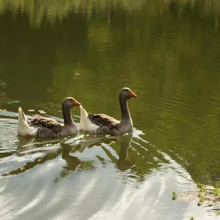 Grives Poolside Family Escape Sainte-Foy-de-Belvès